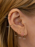 Women's Trendy Hoop Earrings